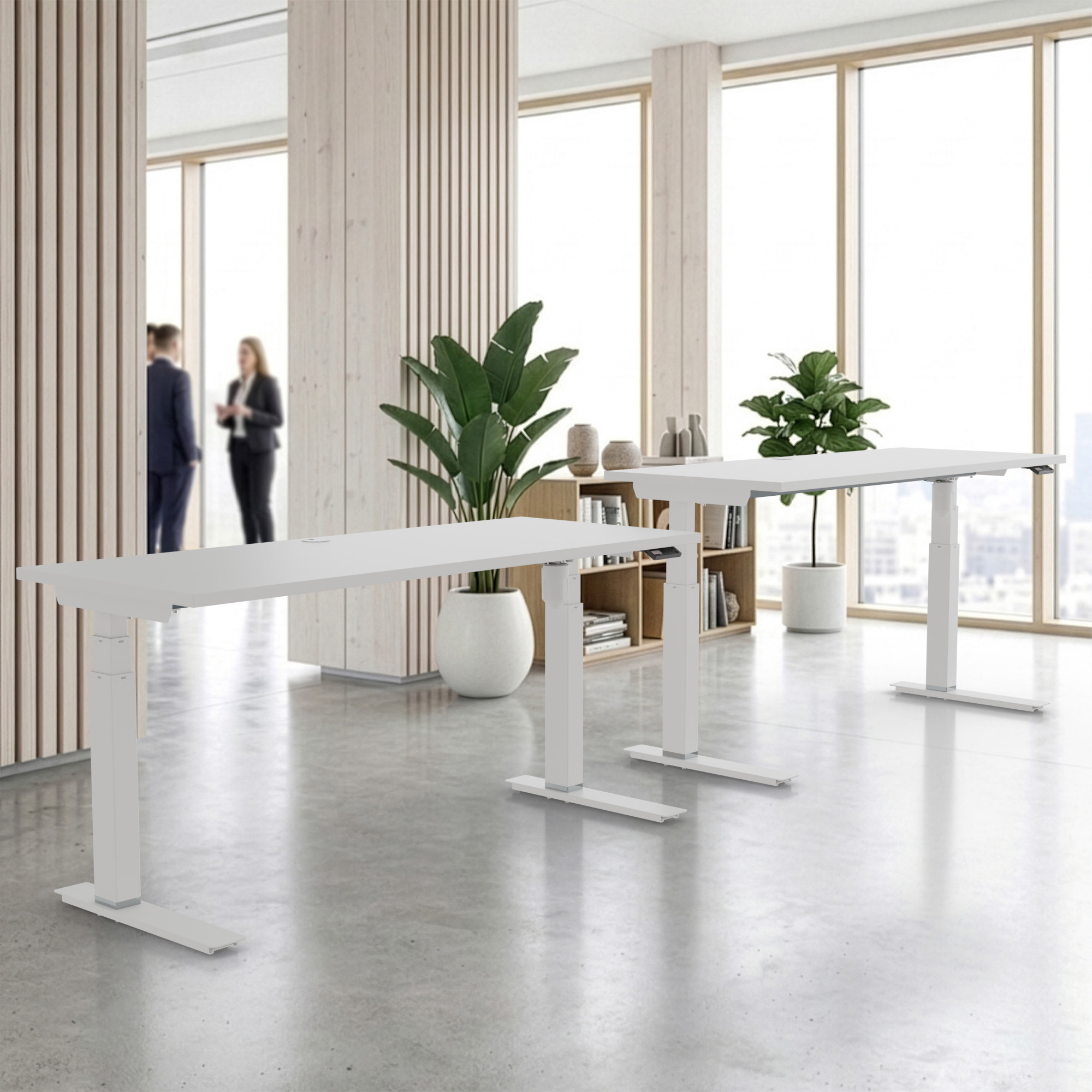 Sit Stand Desk | 80x60 cm | White with white frame