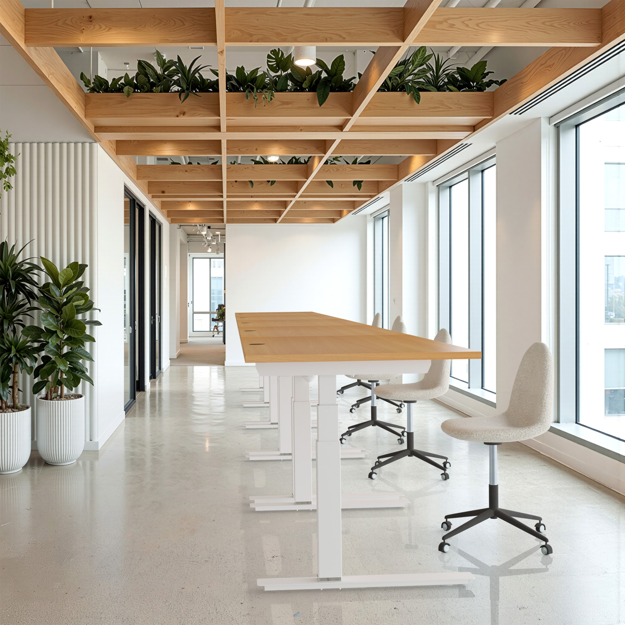Sit Stand Desk | 160x80 cm | Beech with white frame